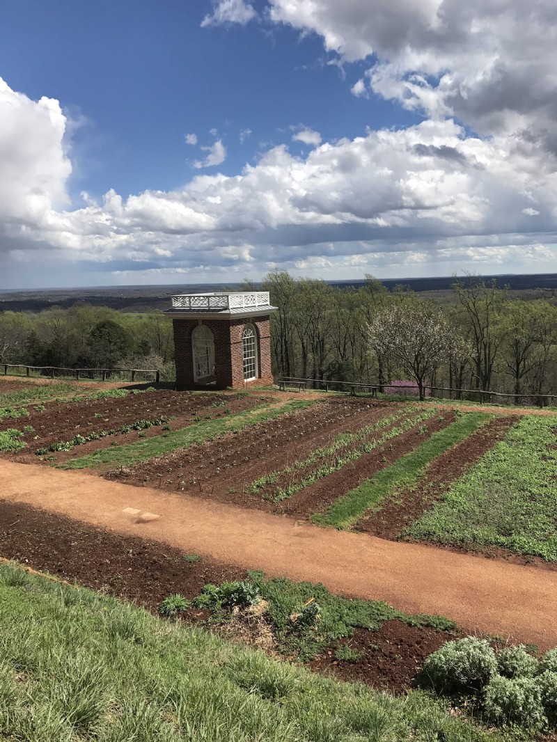 Cosas que debe saber sobre Monticello