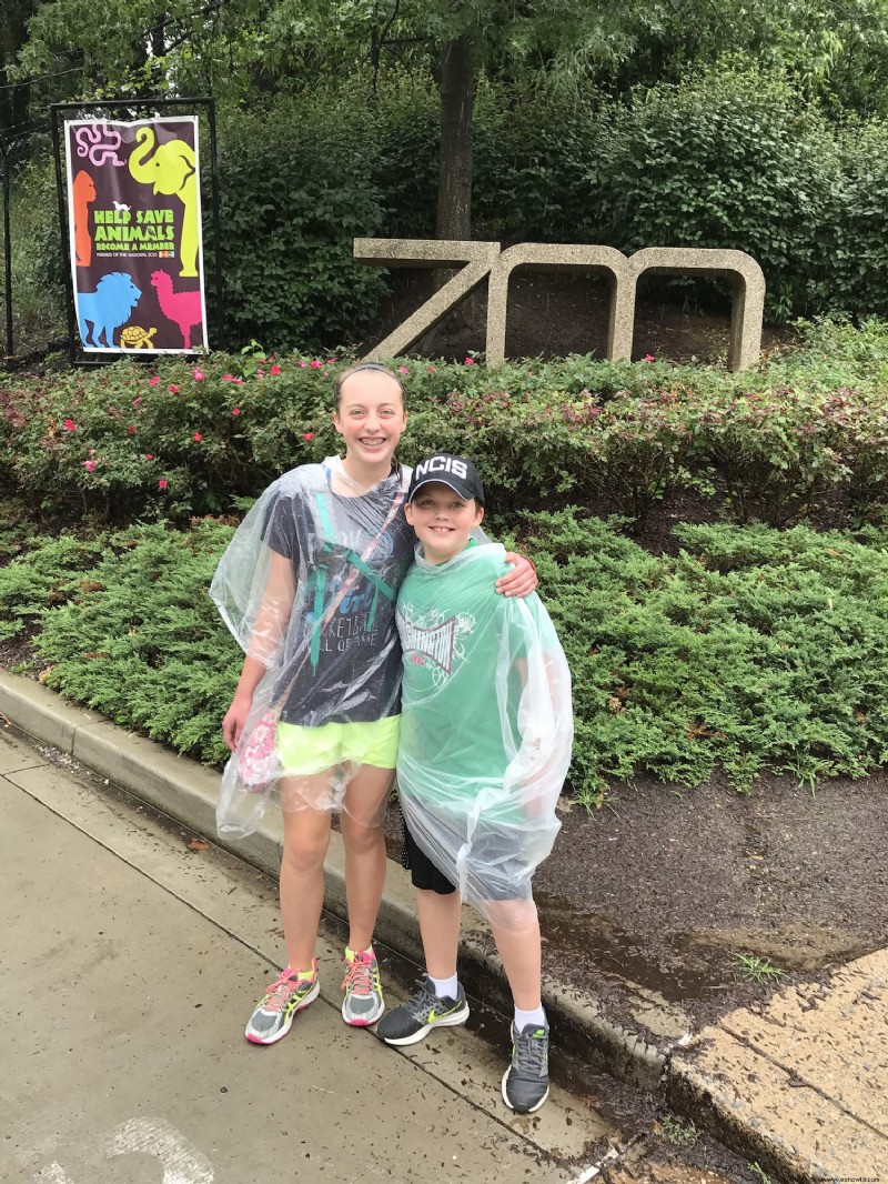 ¡Que la lluvia no arruine un día en el zoológico!