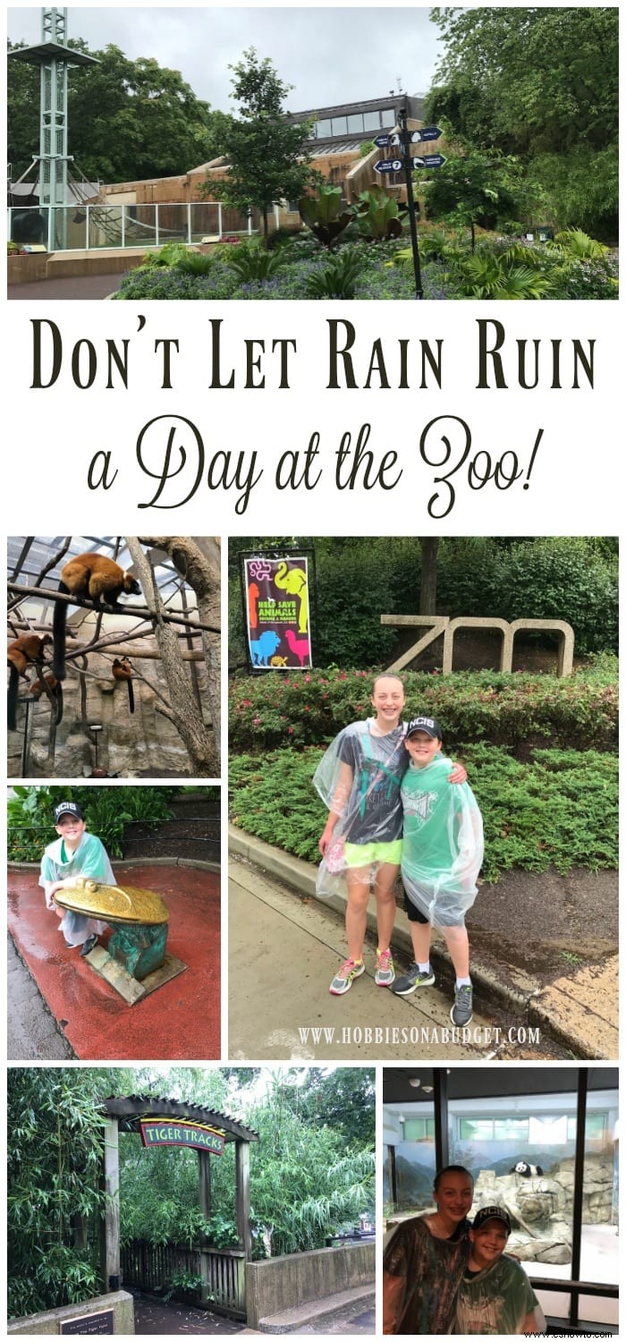 ¡Que la lluvia no arruine un día en el zoológico!