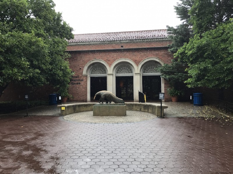 ¡Que la lluvia no arruine un día en el zoológico!