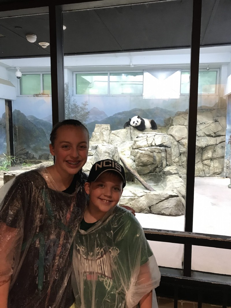 ¡Que la lluvia no arruine un día en el zoológico!