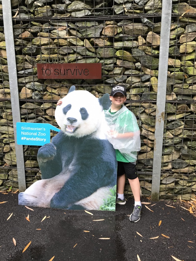 ¡Que la lluvia no arruine un día en el zoológico!