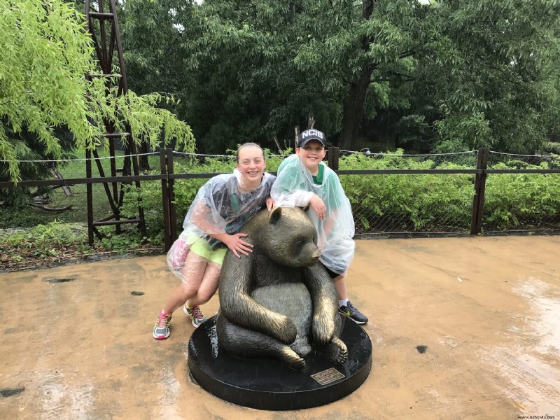 ¡Que la lluvia no arruine un día en el zoológico!