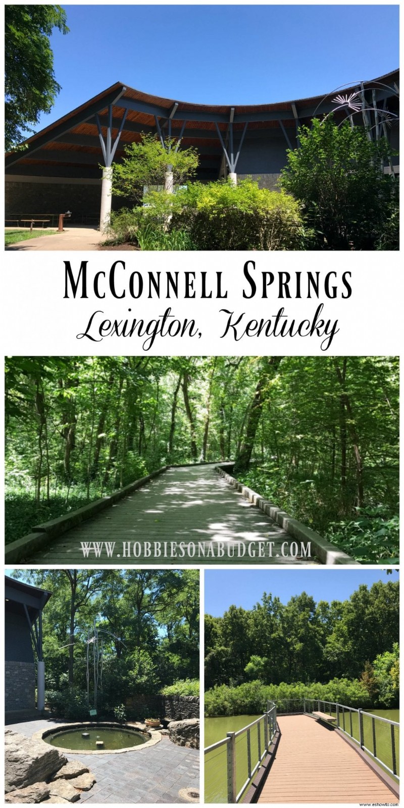 McConnell Springs:un tesoro de Lexington