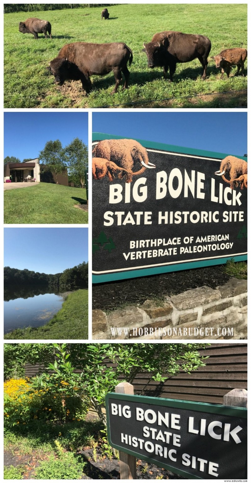 Parque estatal Big Bone Lick, Kentucky