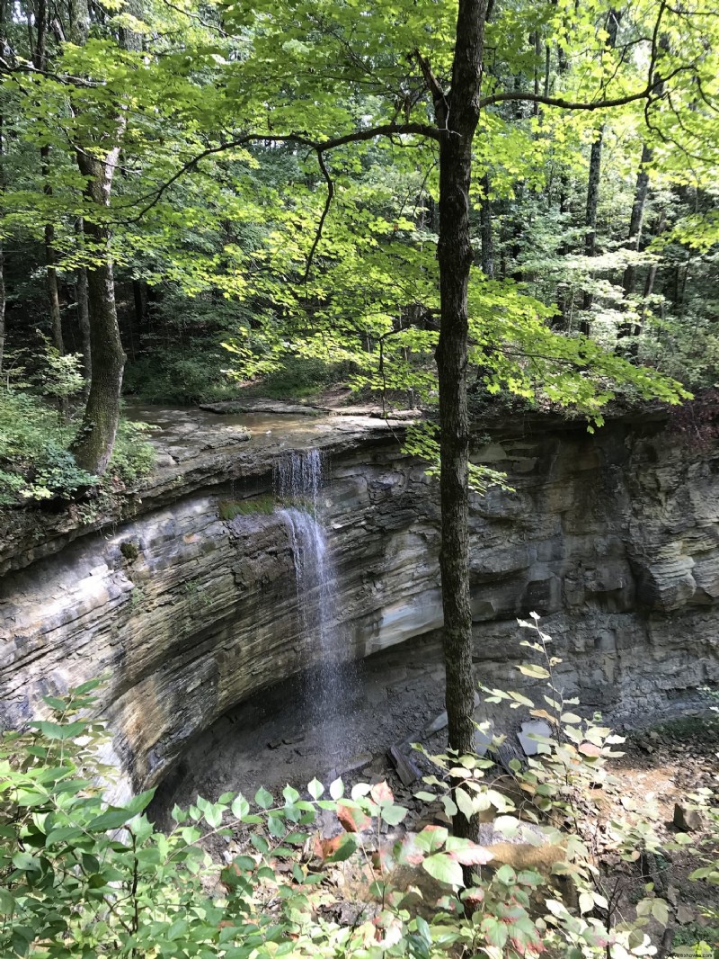 Fairmount Falls:Louisville, Kentucky