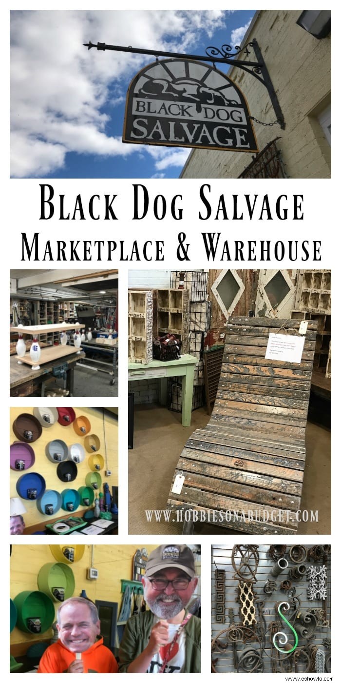 Visita al mercado de recuperación de perros negros