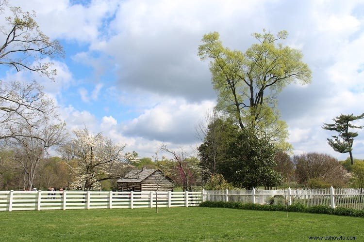 Aprender sobre Andrew Jackson en el Hermitage