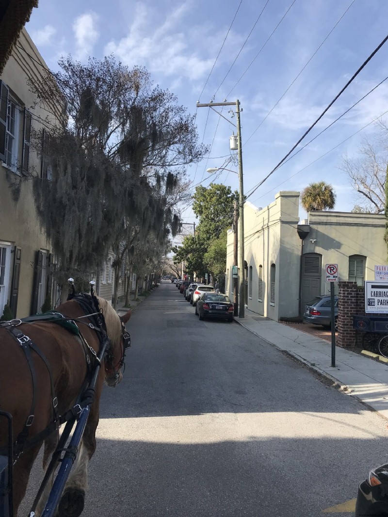 Cosas que debe saber:recorridos en carruaje en Charleston