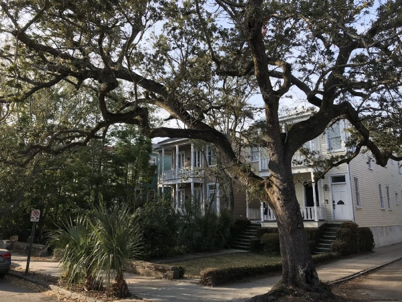 Cosas que debe saber:recorridos en carruaje en Charleston