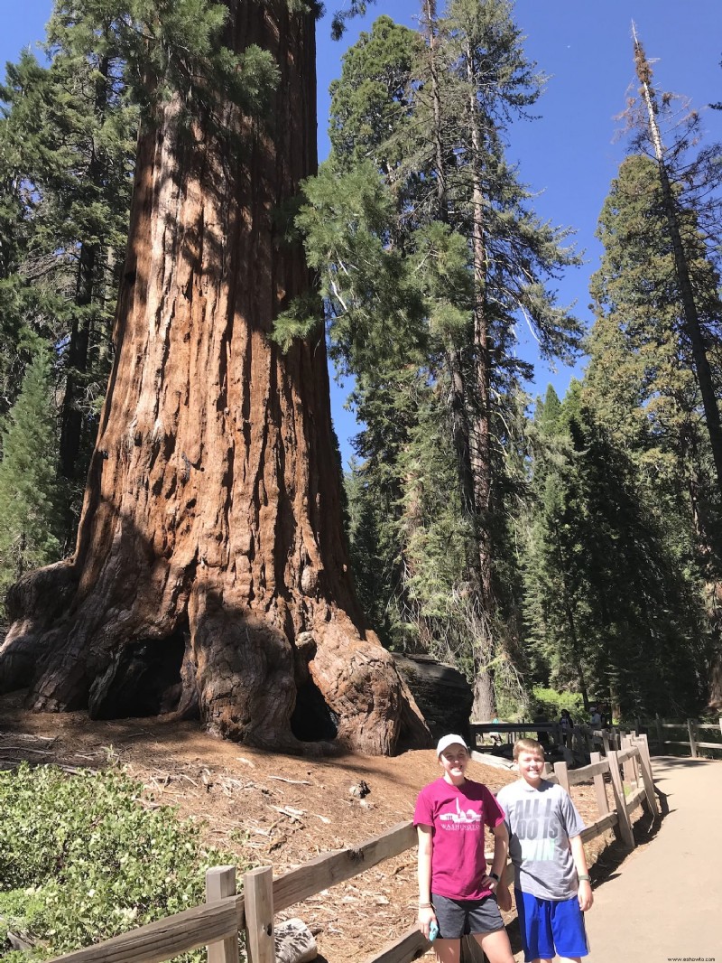 Visita a las secuoyas gigantes:Parque Nacional Kings Canyon