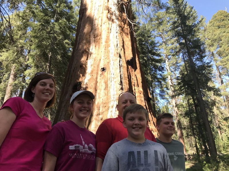 Visita a las secuoyas gigantes:Parque Nacional Kings Canyon