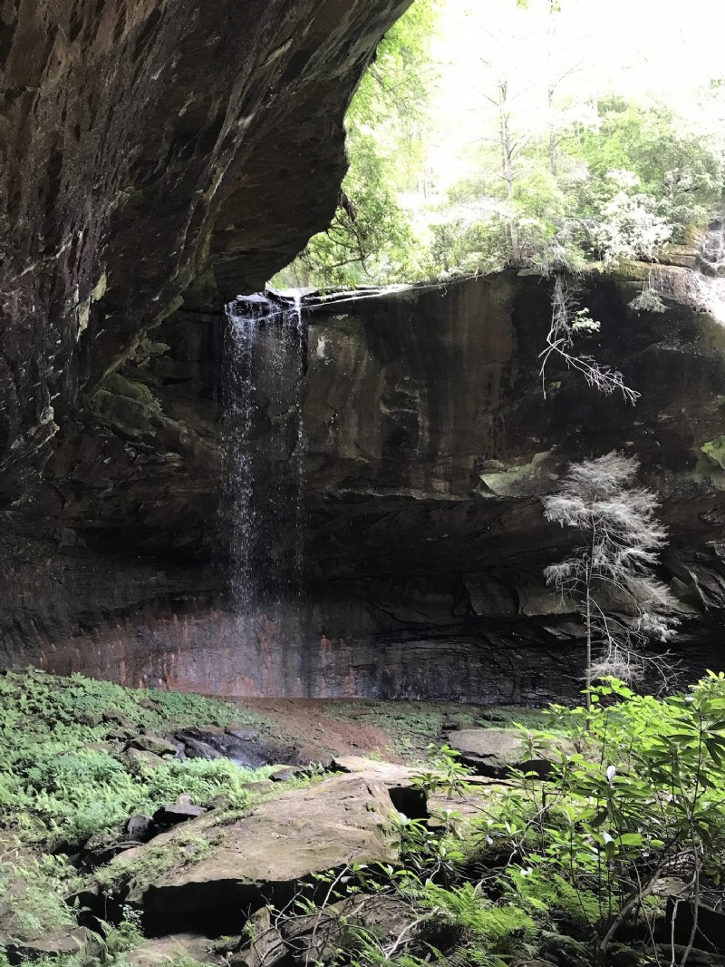Cómo encontrar Lick Creek Falls