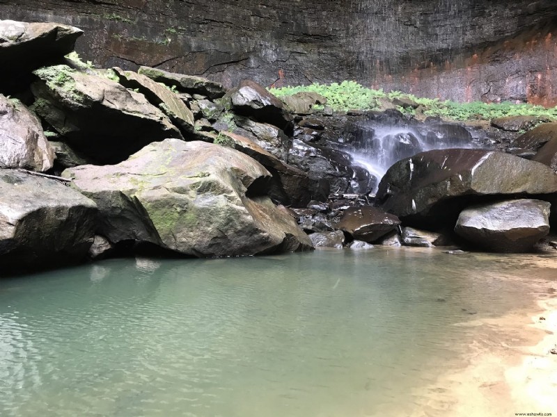 Cómo encontrar Lick Creek Falls