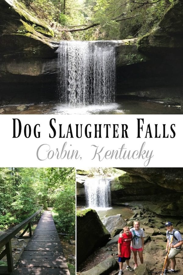 Dog Slaughter Falls – Corbin, KY
