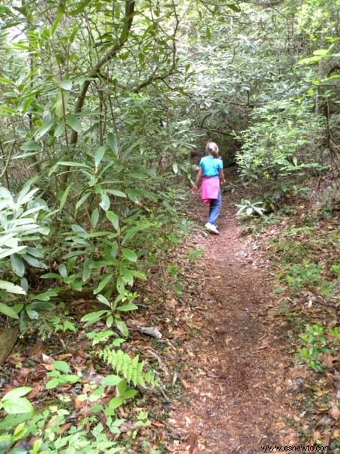 Dog Slaughter Falls – Corbin, KY