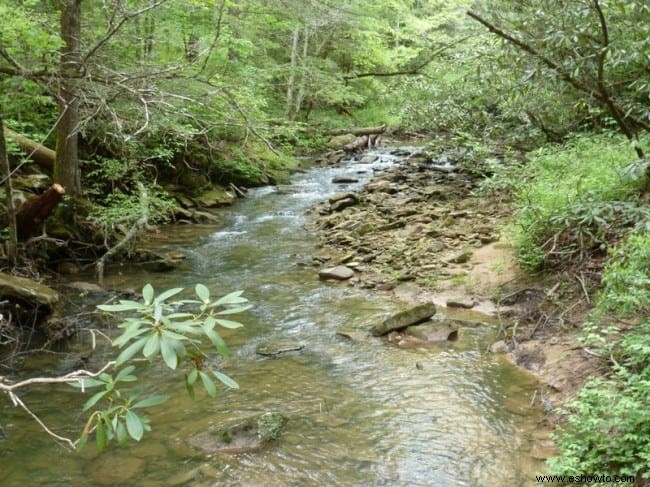 Dog Slaughter Falls – Corbin, KY