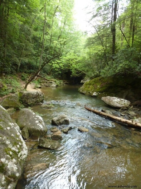 Dog Slaughter Falls – Corbin, KY