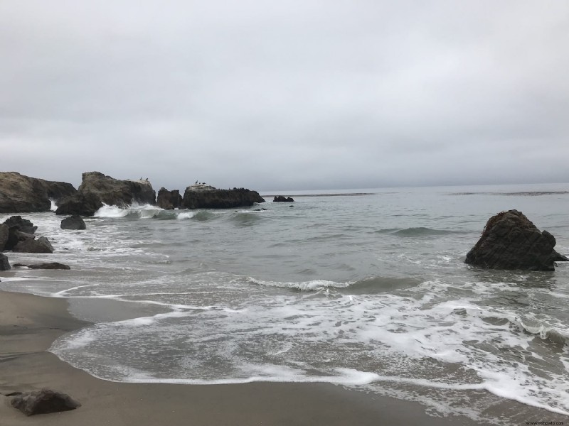 Cosas que debe saber:playa estatal Leo Carillo