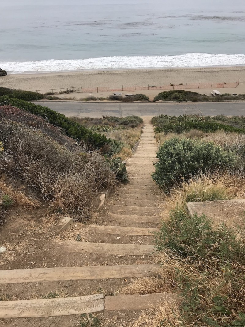 Cosas que debe saber:playa estatal Leo Carillo