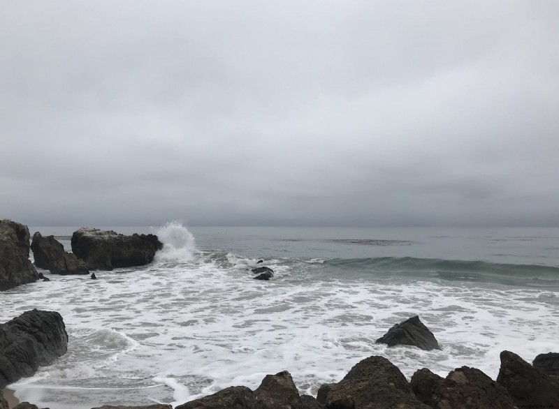 Cosas que debe saber:playa estatal Leo Carillo