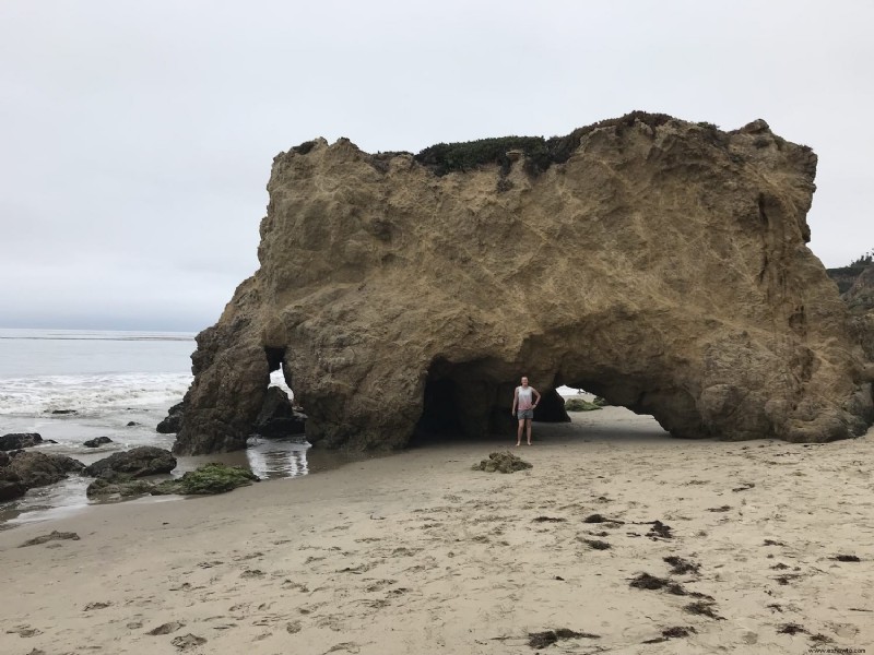 Cosas que debe saber:playa estatal Leo Carillo