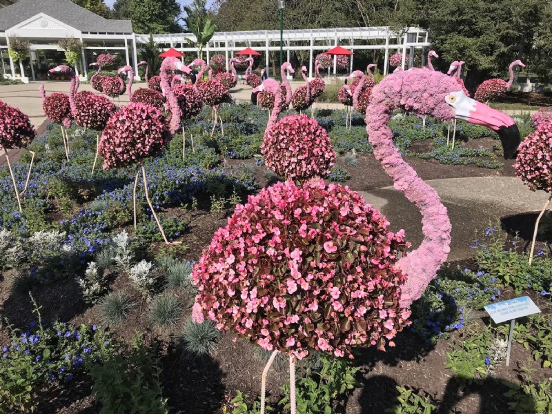 Invernadero y jardines botánicos de Franklin Park