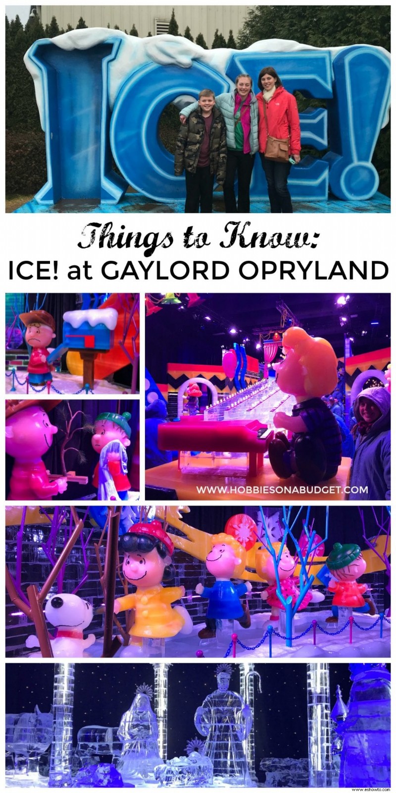 Qué saber:¡ICE! Gaylord Oprylandia