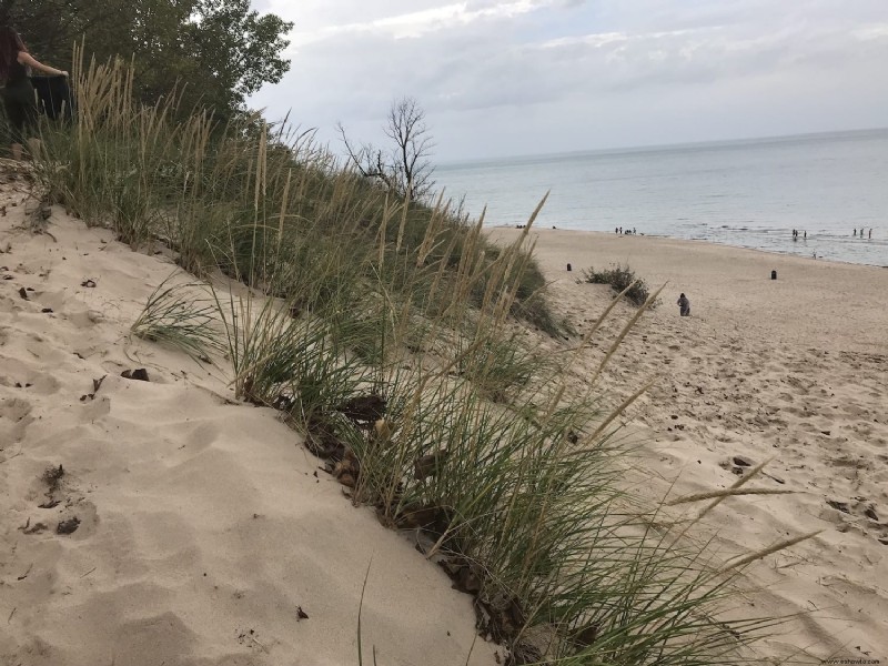 Parque estatal de las Dunas de Indiana:Chesterton IN