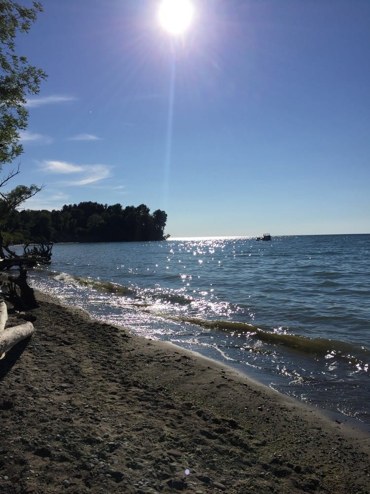 Parque estatal Chimney Bluffs:lago Ontario