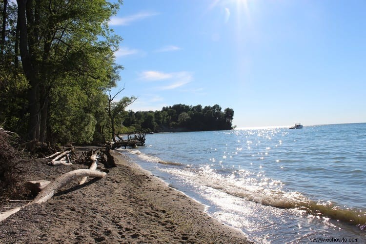 Parque estatal Chimney Bluffs:lago Ontario