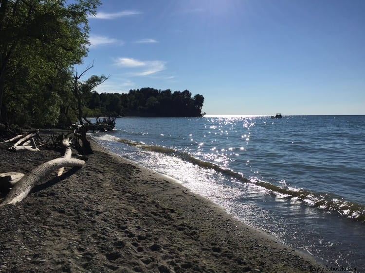 Parque estatal Chimney Bluffs:lago Ontario