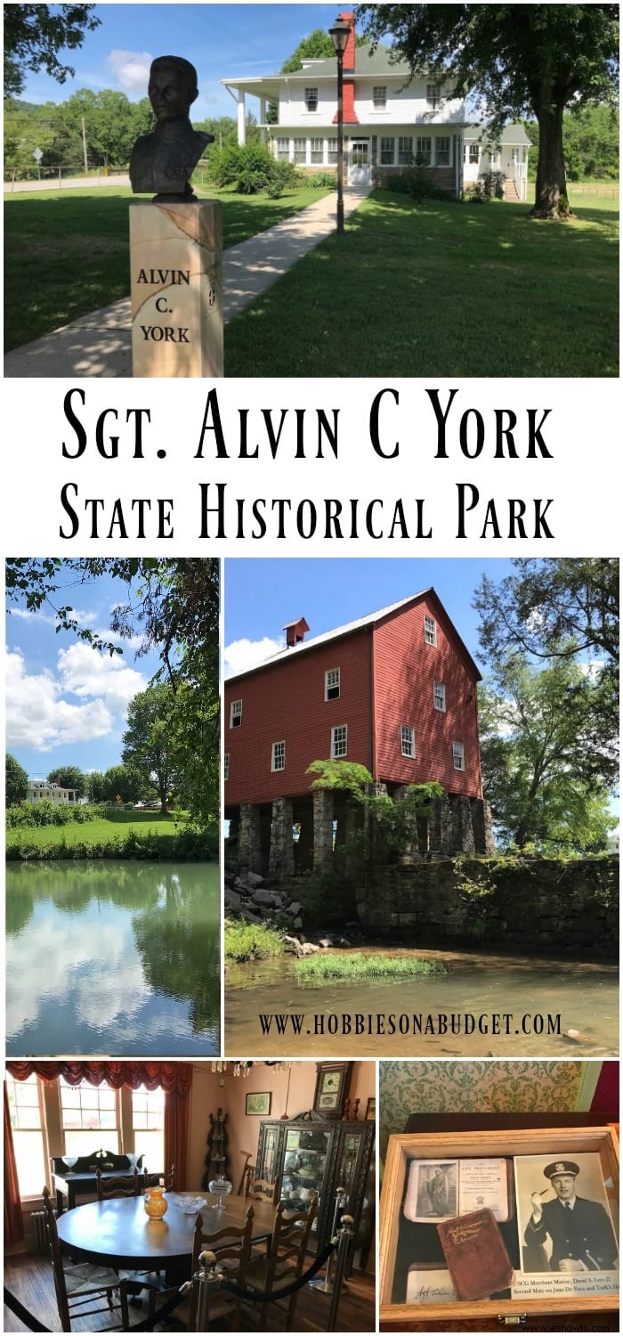 Sargento. Parque histórico estatal Alvin C York