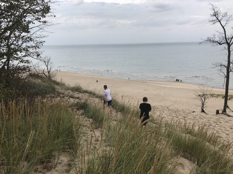 Qué ver y hacer en South Haven Michigan