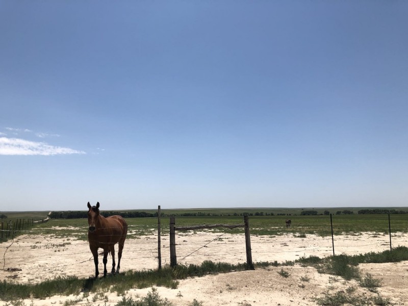 10 cosas que debe saber Monument Rocks, Kansas