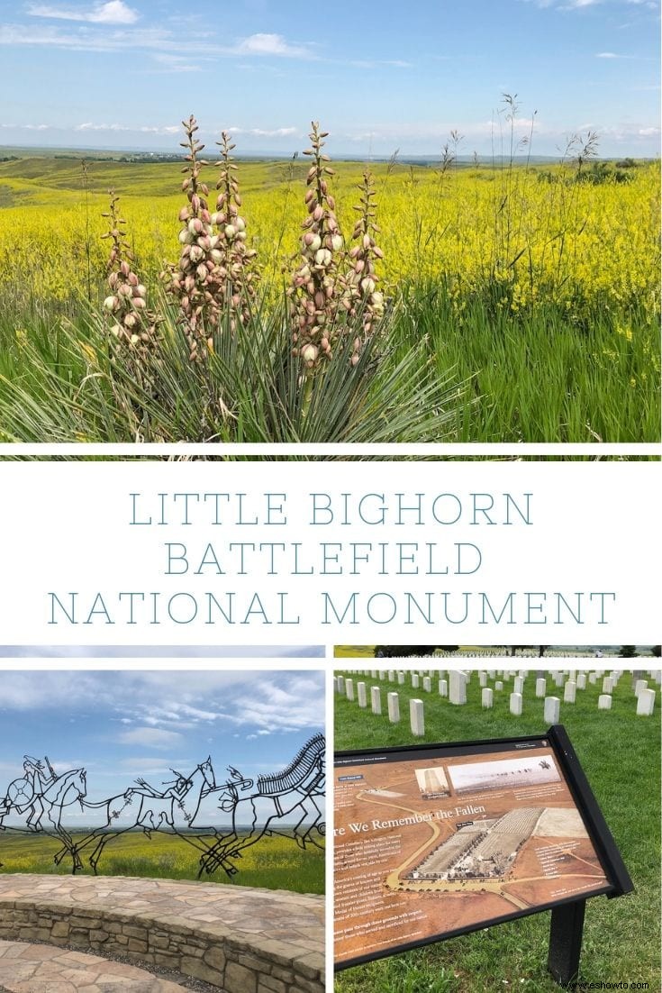 Monumento Nacional del Campo de Batalla de Little Bighorn