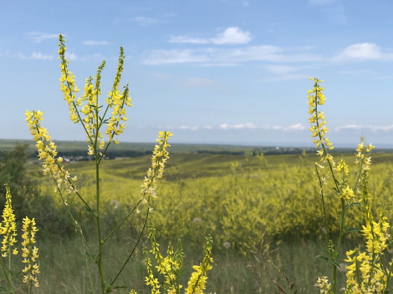 Monumento Nacional del Campo de Batalla de Little Bighorn