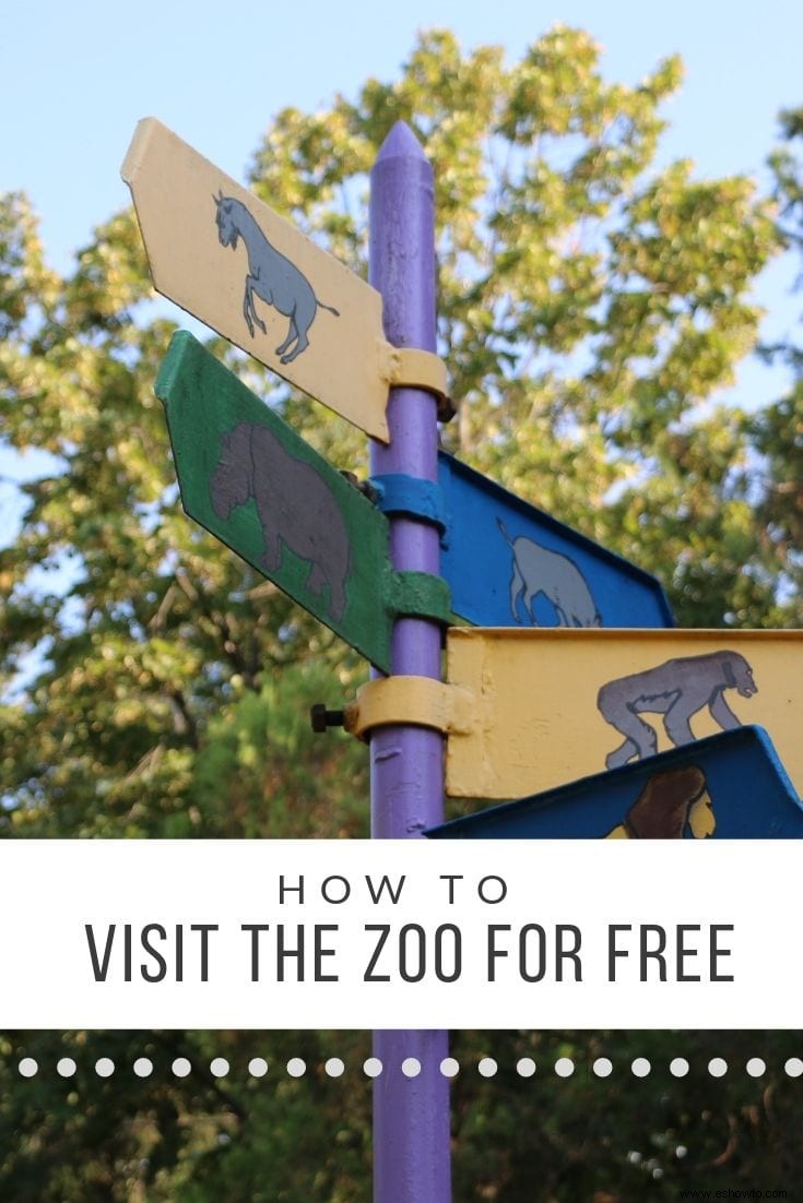 Cómo visitar el zoológico GRATIS