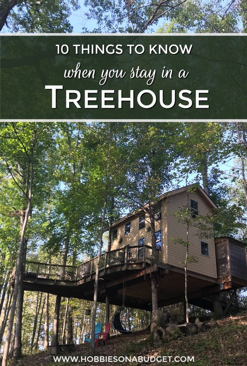 10 cosas que debes saber cuando te quedas en una casa del árbol