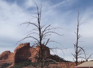 Cosas que debe saber sobre los recorridos en jeep rosa