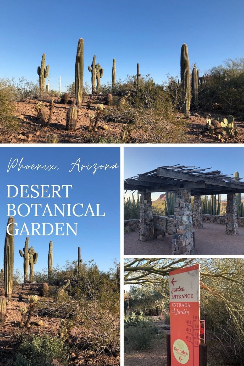 Cosas que debe saber:Jardín Botánico del Desierto