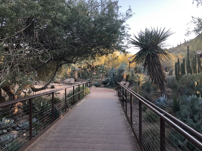 Cosas que debe saber:Jardín Botánico del Desierto