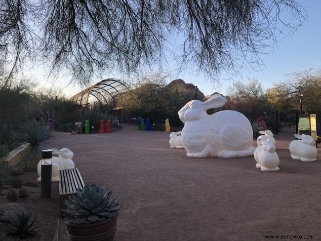 Cosas que debe saber:Jardín Botánico del Desierto