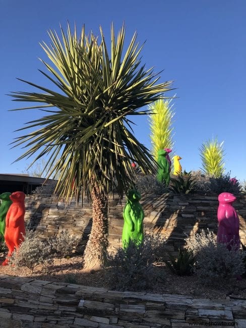 Cosas que debe saber:Jardín Botánico del Desierto