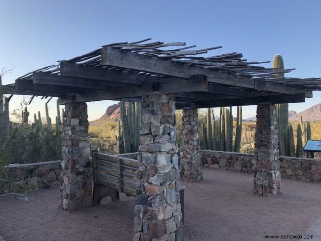 Cosas que debe saber:Jardín Botánico del Desierto