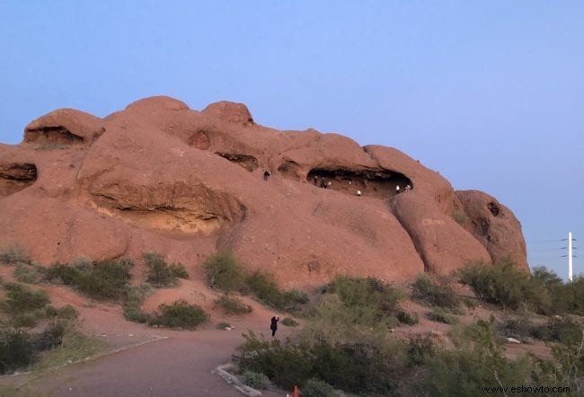 Cosas que debe saber:Jardín Botánico del Desierto