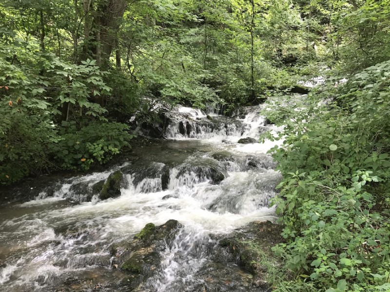 10 caminatas por cascadas panorámicas de Kentucky