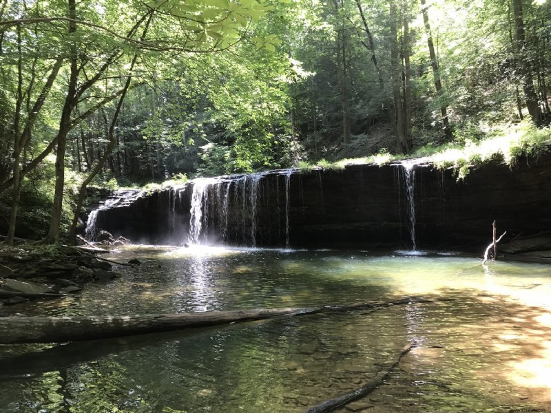 10 caminatas por cascadas panorámicas de Kentucky