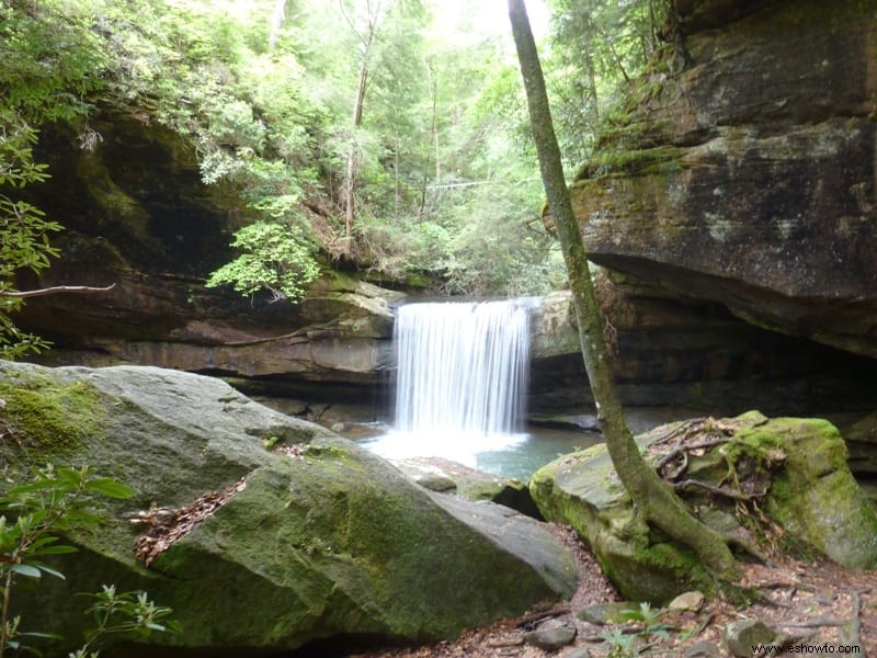 10 caminatas por cascadas panorámicas de Kentucky