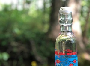 Guía experta: Cómo elegir la botella de agua ideal para tu estilo de vida